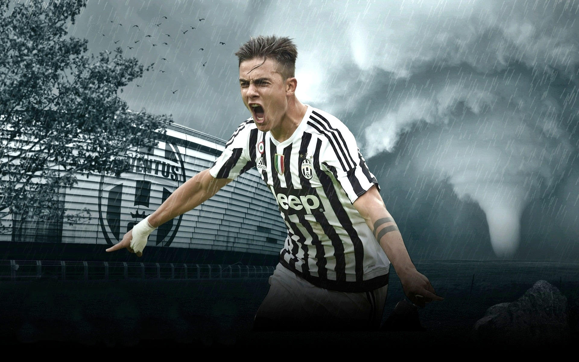 背靠背密集 背靠背密集