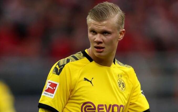 版本红利的 版本红利的