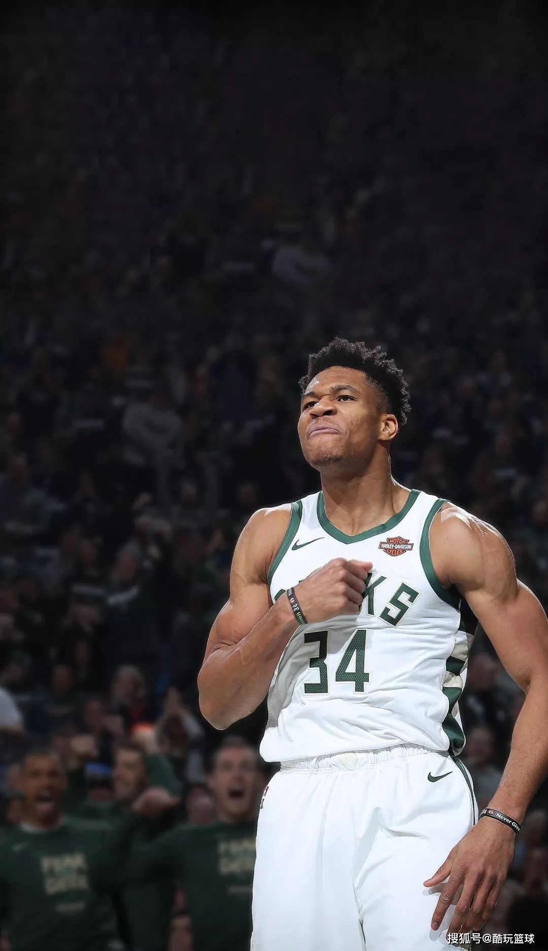 完赛即可无 完赛即可无